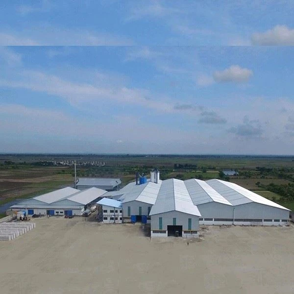 Heavy Weight Steel Structure Workshop